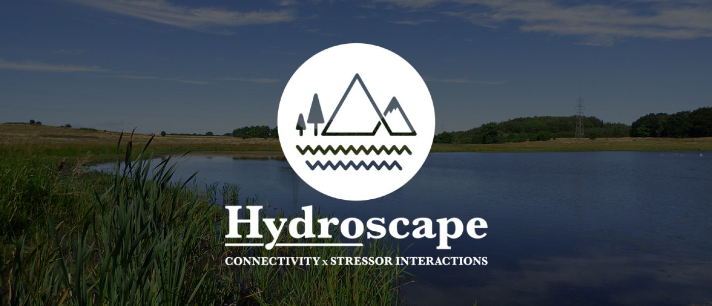 Hydroscape